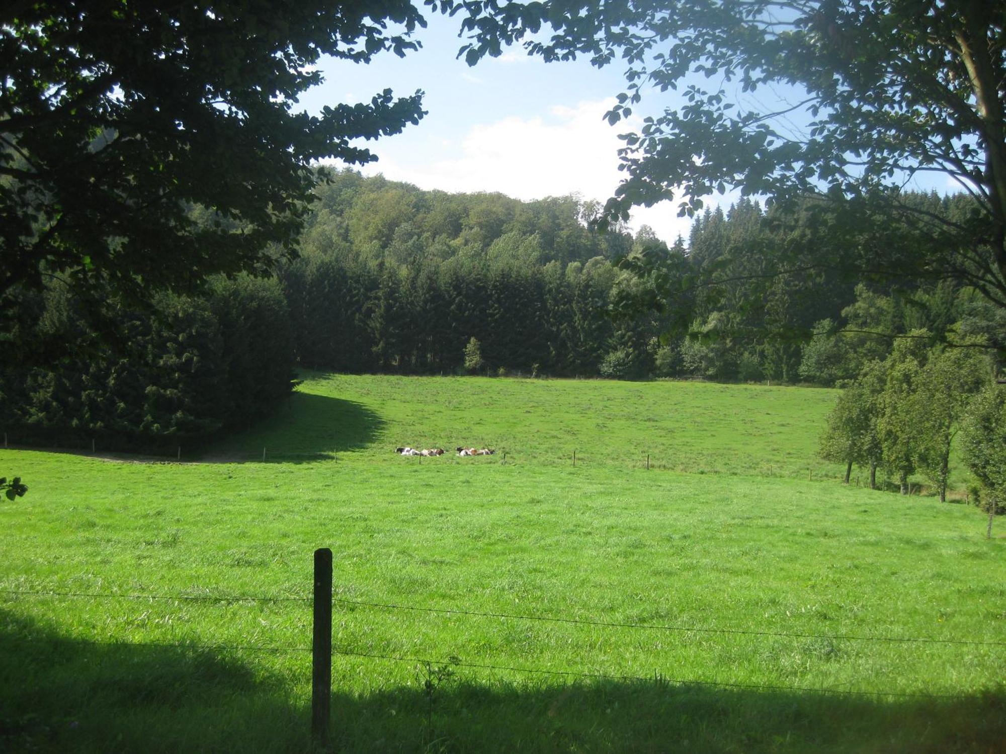 Pension-Gaestehaus Waldhof Winterberg Luaran gambar
