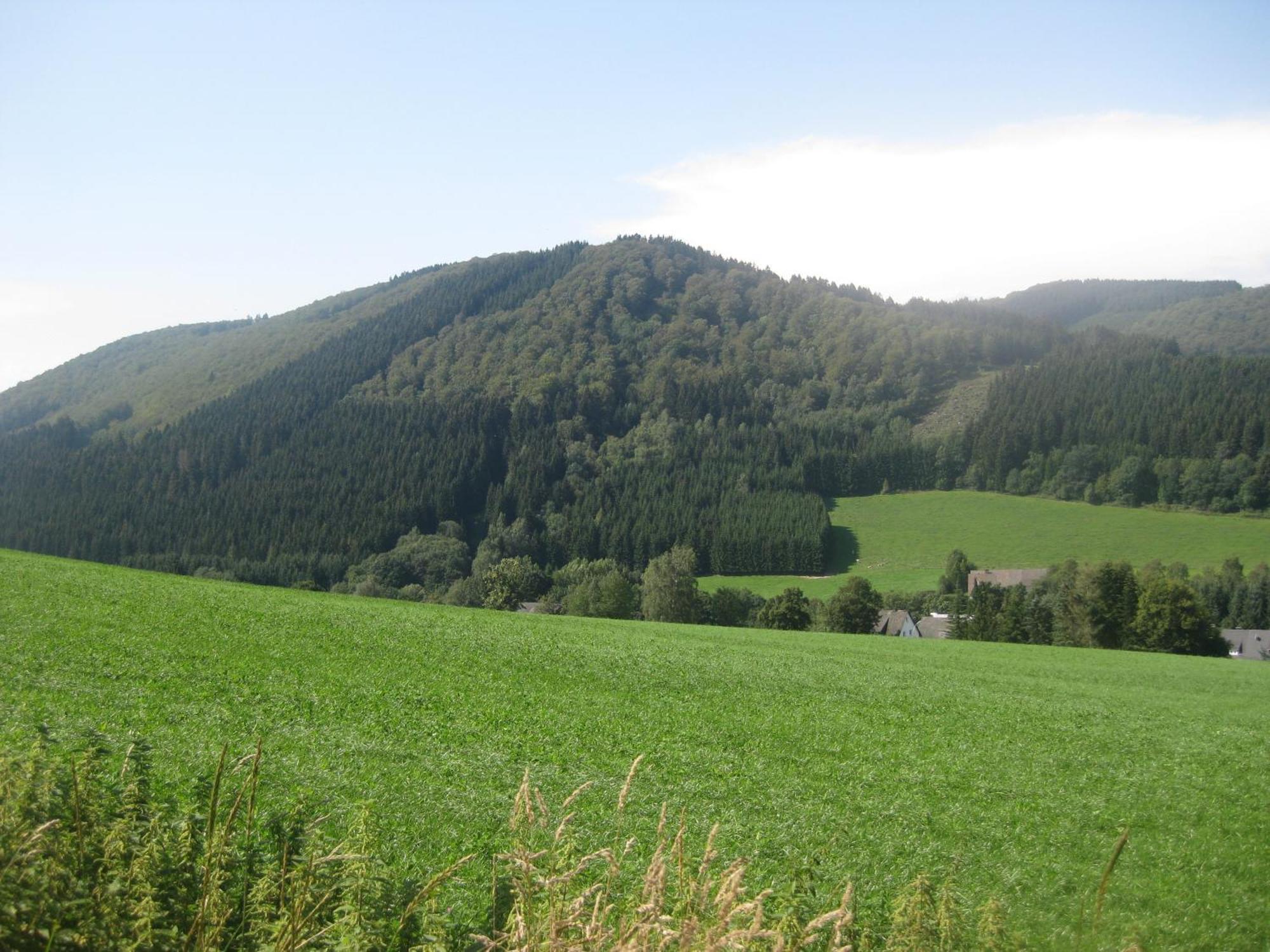 Pension-Gaestehaus Waldhof Winterberg Luaran gambar